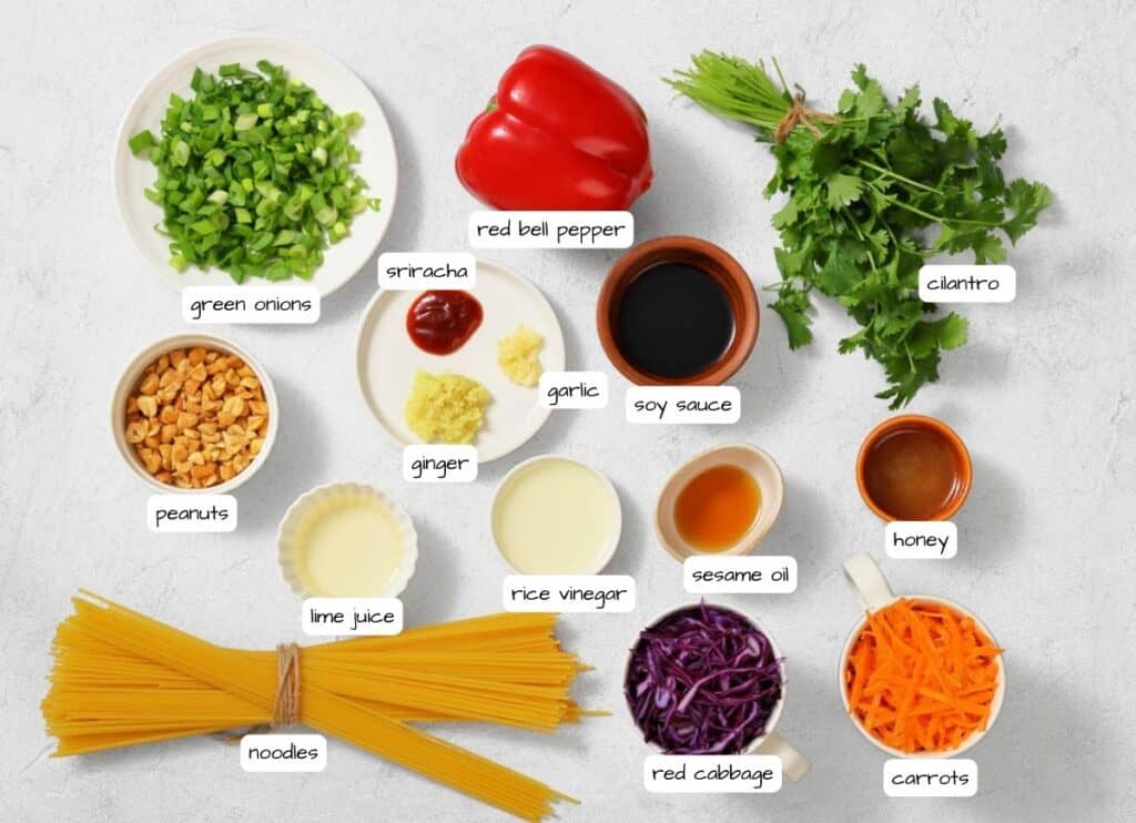 A flat lay of ingredients for a noodle dish, including uncooked noodles, vegetables, sauces, peanuts, lime juice, and herbs, each labeled with its name.