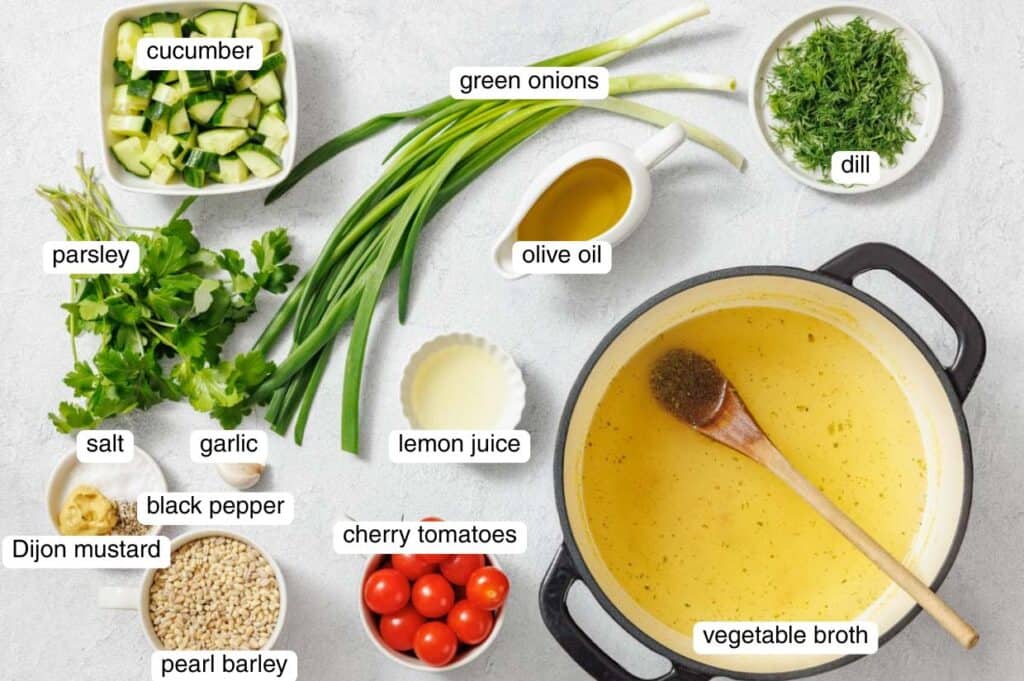 Ingredients for a vegetable barley soup are arranged on a table, including chopped cucumber, green onions, dill, parsley, broth, and various seasonings, with labels identifying each item.