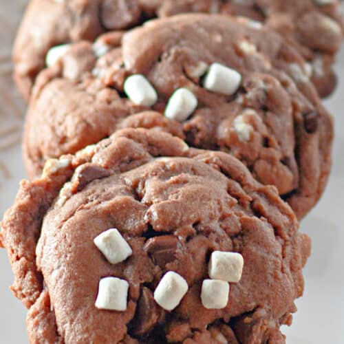 Close-up of cocoa cookies with chocolate chips and small white marshmallow pieces on top, arranged in a row on a white surface.