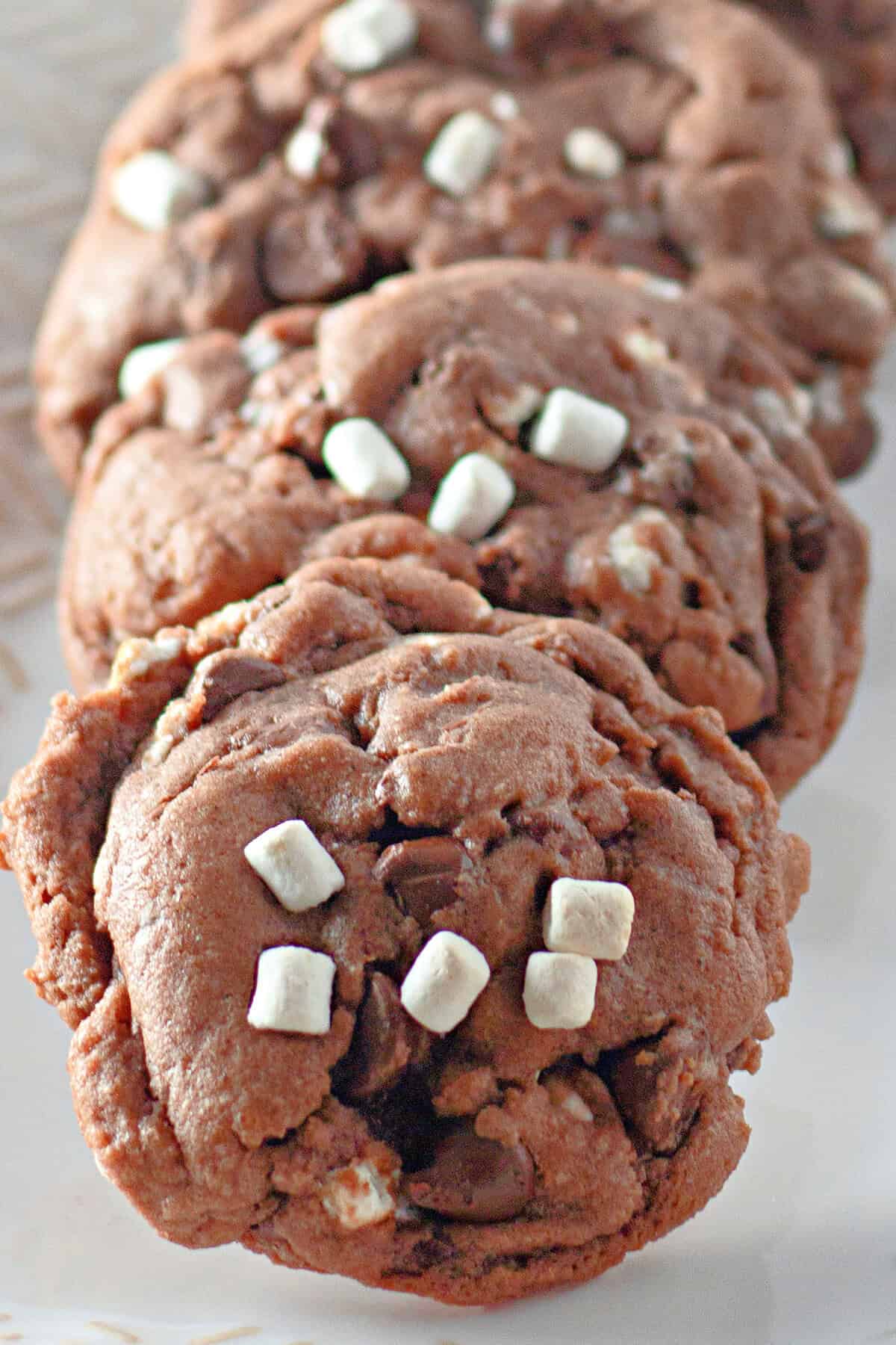 Close-up of cocoa cookies with chocolate chips and small white marshmallow pieces on top, arranged in a row on a white surface.