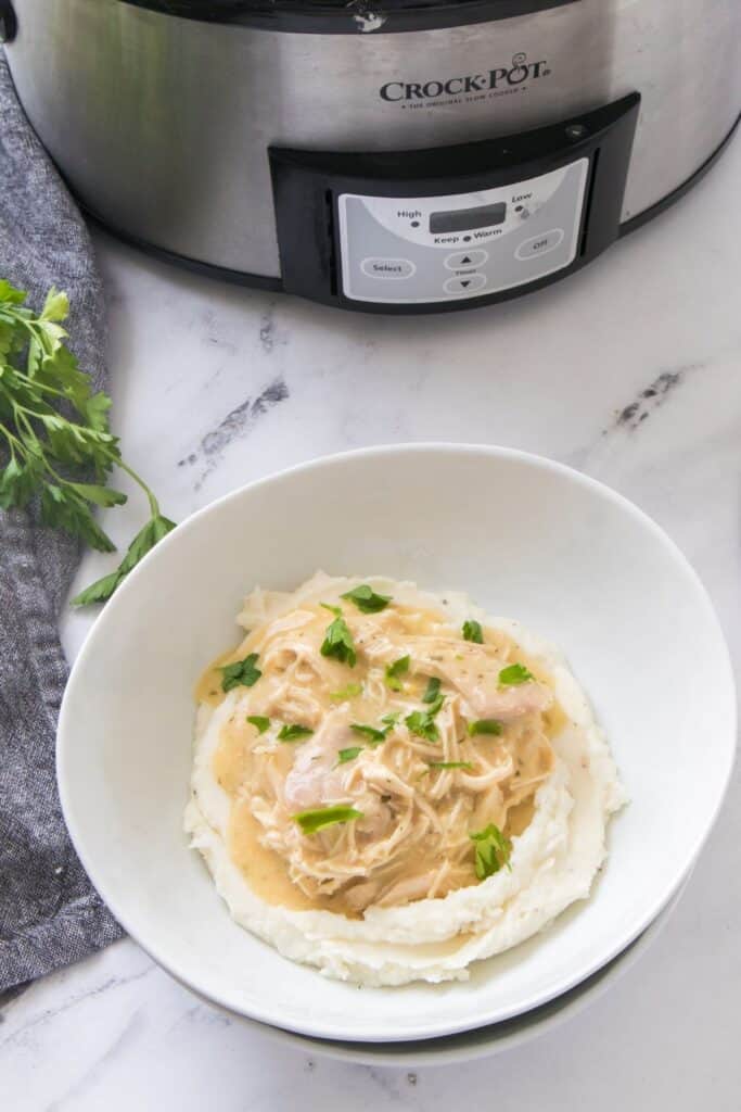 A white bowl filled with a generous serving of mashed potatoes topped with shredded chicken and a creamy gravy, garnished with fresh parsley, with a slow cooker in the background.