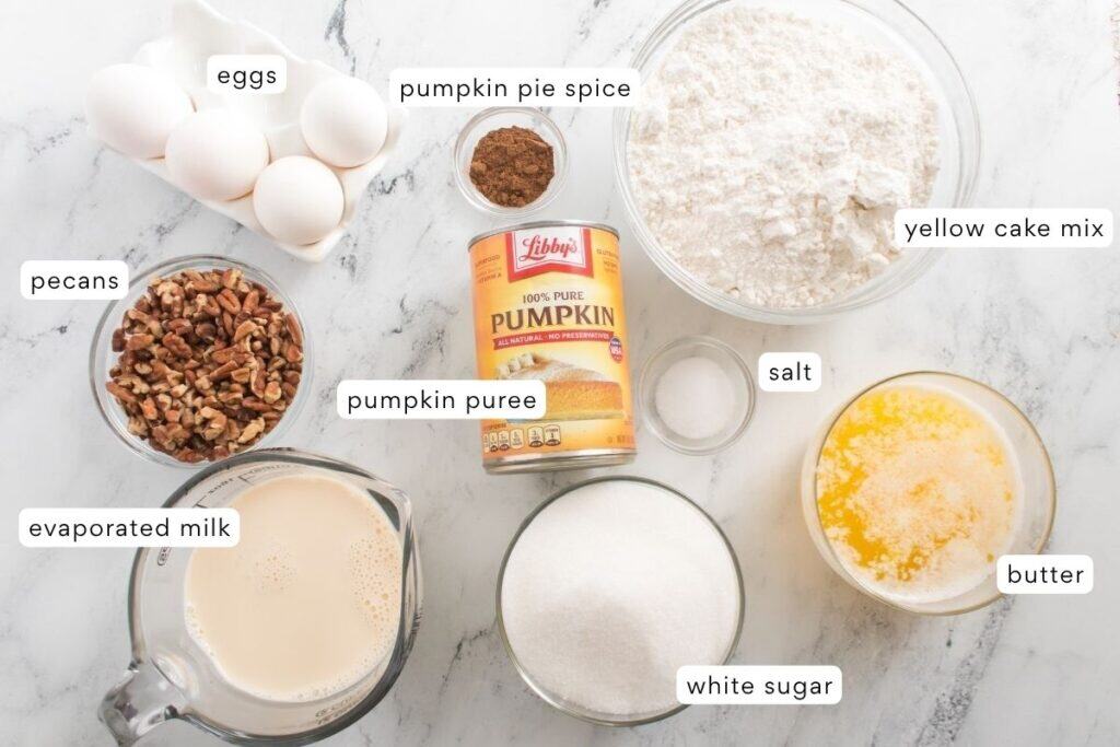 Top-down view of labeled ingredients on a white surface, including eggs, pumpkin pie spice, flour, yellow cake mix, pecans, pumpkin puree, salt, evaporated milk, butter, and white sugar.