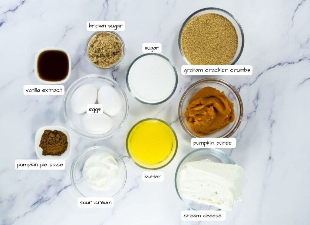 Top-down view of labeled ingredients in bowls on a marble surface: vanilla extract, brown sugar, sugar, graham cracker crumbs, eggs, butter, pumpkin puree, cream cheese, sour cream, and pumpkin pie spice.