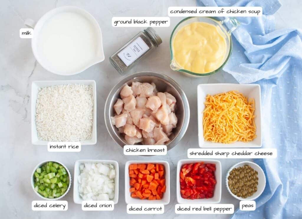 Slow Cooker Chicken and Rice ingredients with labels.