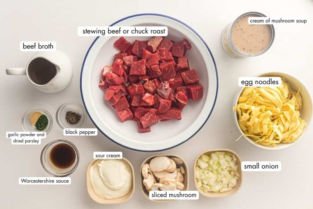 A white bowl filled with egg noodles topped with beef strips, sliced mushrooms, and creamy sauce, garnished with chopped parsley.