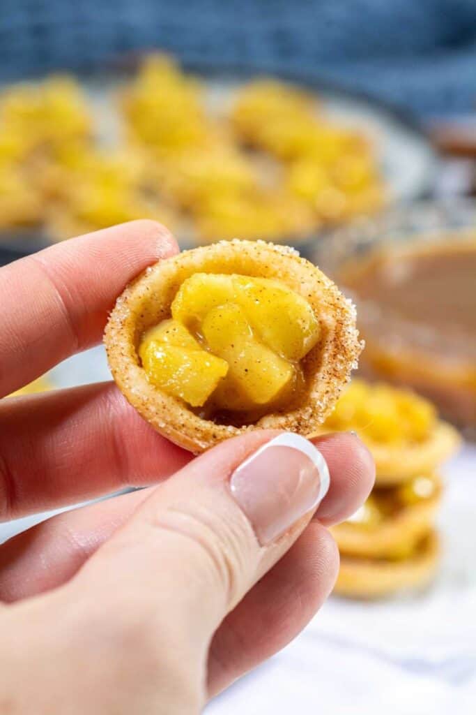 One mini tartlets