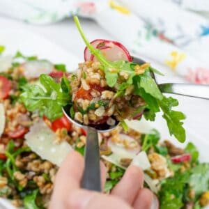 A spoonful of Copycat Charlie Bird&rsquo;s Farro Salad from the white plate.